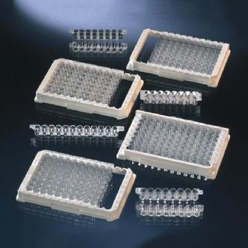 Nunc-ImmunoTM板条，带框，每框96孔，聚苯乙烯，外部尺寸：128*86mm，MediSorp表面，60/箱，467120，Thermofisher，赛默飞世尔