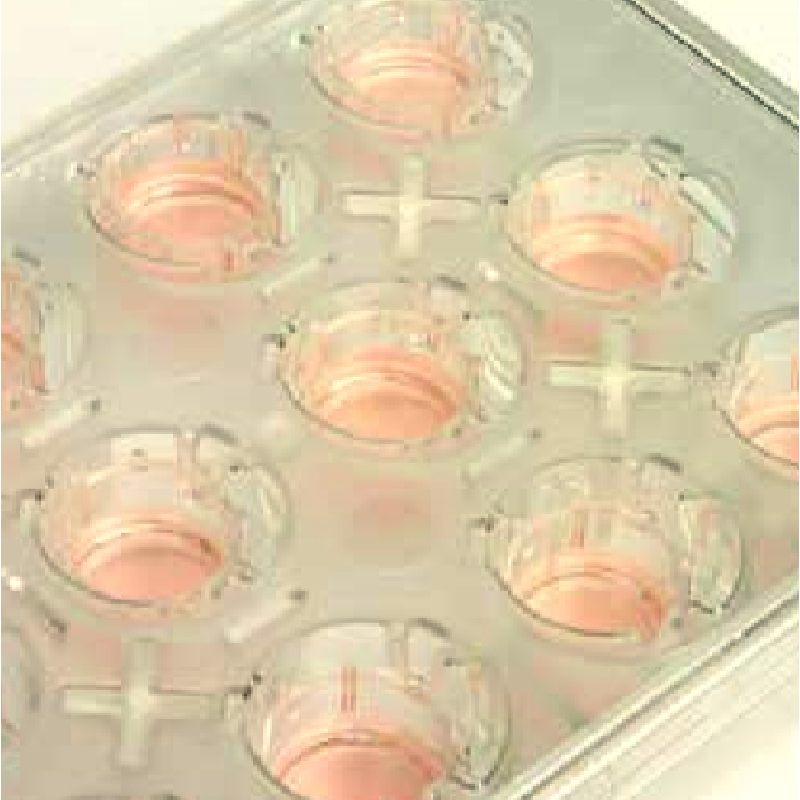 Nunc插入式细胞培养皿，已灭菌，孔径大小，3um，建议工作容量，4.1ml