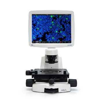 EVOS FL细胞成像系统，Invitrogen，EVOS™ FL Imaging System，AMF4300，赛默飞世尔，Thermofisher
