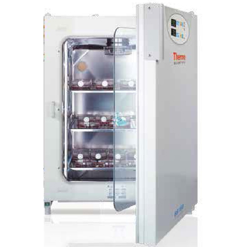 CO2细胞培养箱，BB150-2TCS，湿热灭菌，Thermofisher，赛默飞世尔
