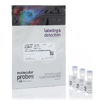 ALEXA FLUOR 555 NHS ESTER 3 X 100 UG，A37571，Invitrogen