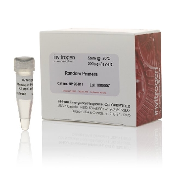 RANDOM PRIMERS,1.5MM 100 UL (~297UG/100 UL)，48190011，Invitrogen