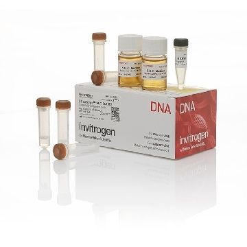 ULTRACOMP,MC1061/P3 1.5 ML，C66303，Invitrogen