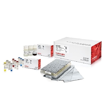 COLLIBRI 3'RNA KIT 96 96 REACT，A38110096，赛默飞世尔