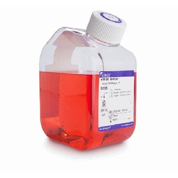 AIM V MED 1000ML，12055083，Invitrogen