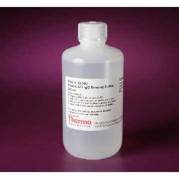 PROTEIN A/G IGG BINDING BUFFER , 240 ML.，54200，Invitrogen