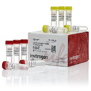 LIPOFECTAMINE 3000, 7.5ML 7.5mL，L3000075，Invitrogen