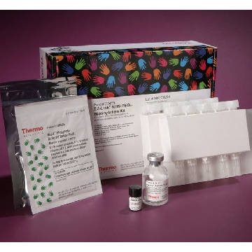EZ-LINK  NHS-PEO4 BIOTINYLA TION KIT，21455，赛默飞世尔
