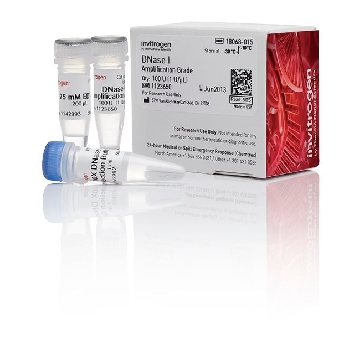 DNASE I AMP GRADE 100 UN，18068015，Invitrogen
