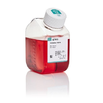 RPMI 1640 500ML，11879020，Invitrogen