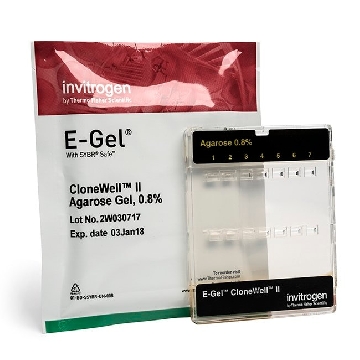 E-GEL CLONEWELL II 0.8% 10 GELS，G661818，Applied Biosystems
