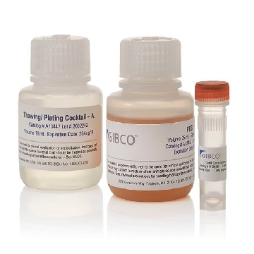 THAW AND PLATING SUPPLEMENT A KIT，CM3000，Invitrogen