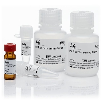 FP RED ASSY PR-LBD 1 EA，A15906，Invitrogen