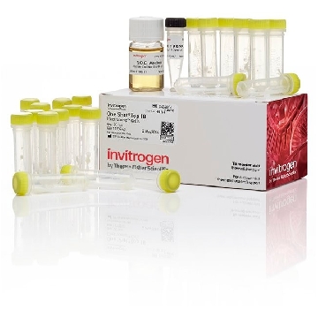 TOP10 OS ECOMP 20 RXN，C404052，Invitrogen