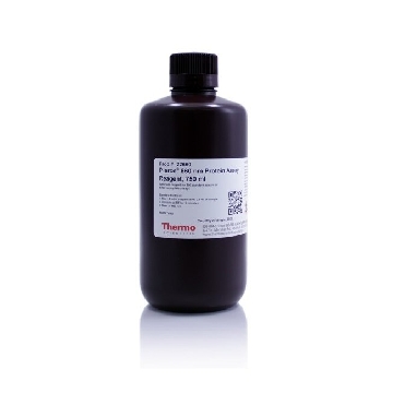 PIERCE 660NM PROTEIN ASSAY REAGENT, 750 ML.，22660，赛默飞世尔