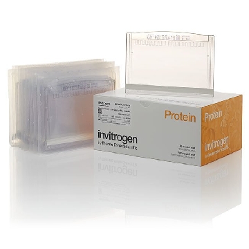 4-12% TG PLUS WIDE FORMAT12+2W 10 PER BOX，WXP41212BOX，赛默飞世尔