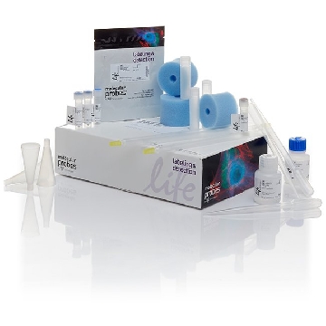 ALEXA FLUOR 532 PROTEI 1 KIT，A10236，Invitrogen