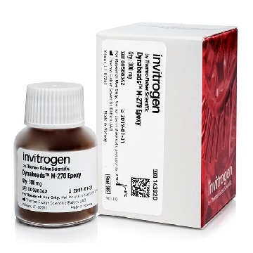 Transfer SKU DYNABEADS M-270 EPOXY 300 MG，14302D，赛默飞世尔