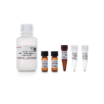VIVID CYP3A4 GREEN SCRNING KIT EA，P2857，Invitrogen