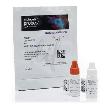ABC ANTI-RAT HAMSTER BEAD KIT 1 KIT，A10389，Invitrogen