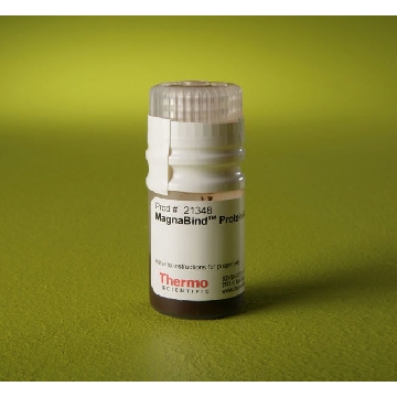 MAGNABIND  PROTEIN A BEADS , 5 ML.，21348，赛默飞世尔