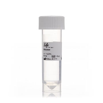PIK3CD⁄PIK3R1 (P110 DELTA⁄ 1MG，PV6453，赛默飞世尔