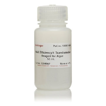 MAX EFF TRANS REAG KIT，A24229，Applied Biosystems