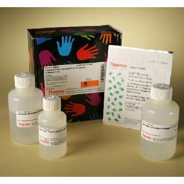 LYSOSOME ENRICHMENT KIT FOR TISSUE AND CULTURED CELLS，89839，赛默飞世尔