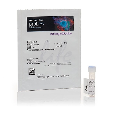 7-AMINOACTINOMYCIN D (7-A 1 MG.，A1310，Invitrogen