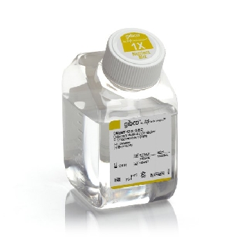 DMEM NUTRIENT MIX F12 500ML，11039021，Invitrogen