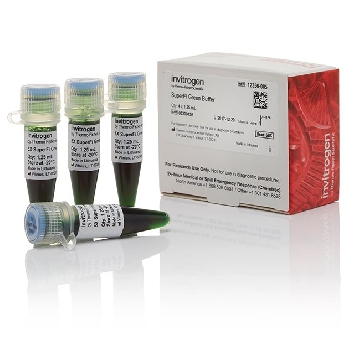 SUPERFI GREEN BUFFER 5 ML，12356005，Applied Biosystems