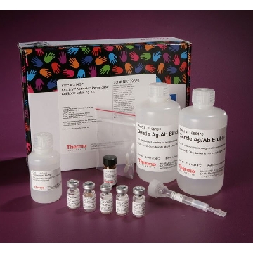 EZ-LINK  ACTIVATED PEROXID ASE ANTIBODY LABELING KIT，31497，赛默飞世尔