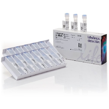 BACLIGHT RED BACTERIAL STAIN S 20 X 50 UG，B35001，Invitrogen