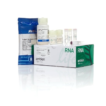 Transfer SKU SINGLE CELL TO CT KIT, 400 RXN 400 RXN，4458236，赛默飞世尔