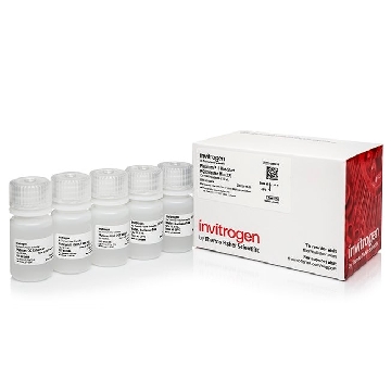 PLATINUM II PCR MM (2X) 1000 RXNS，14000014，Applied Biosystems