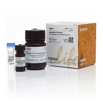 AP RABBIT CHEMI DETECTION KIT AP Rabbit Chemi Detection Kit，SLF1022，Invitrogen
