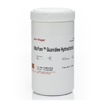 GUANIDINE HYDROCHLORIDE 500G，15502016，Invitrogen