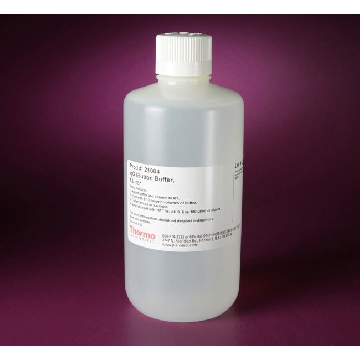 IGG ELUTION BUFFER, 1 LITER EA，21004，Applied Biosystems