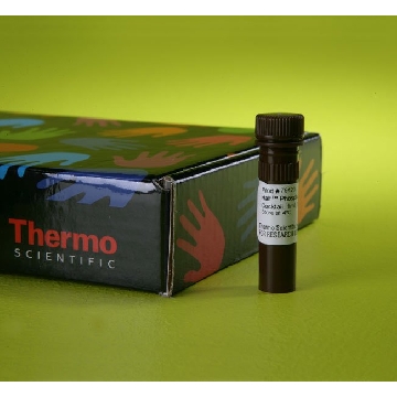 HALT  PHOSPHATASE INHIBITOR COCKTAIL, 1 ML.，78420，赛默飞世尔