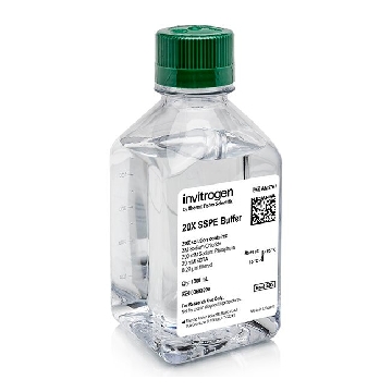 Transfer SKU 20X SSPE BUFFER 1000 ML EACH，AM9767，赛默飞世尔