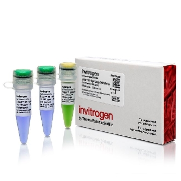Transfer SKU E-GEL 96 HIGH RANGE DNA MARKER MARKER, 100 APPLICATIONS，12352019，赛默飞世尔