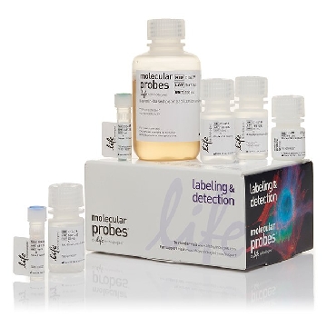 CLICK-IT EDU AF647 FLOW KIT 1 KIT，C10419，Invitrogen