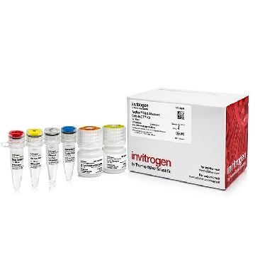 TAQMAN FA CELLS-TO-CT 40RXN 40 RXN，A35374，Applied Biosystems