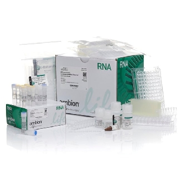 WT EXPRESSION KIT (30 RXN.) EACH，4411974，Applied Biosystems
