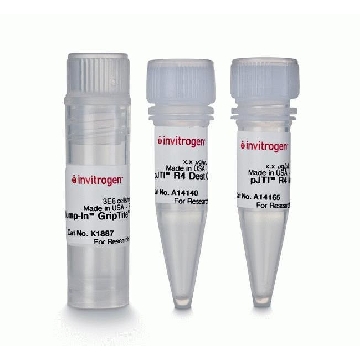 JUMP IN GRIPTITE HEK293 KIT，A14150，Invitrogen