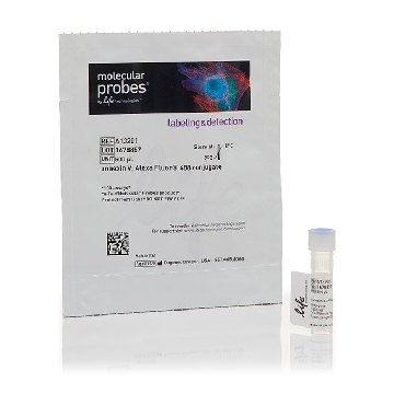 ANNEXIN V, ALEXA FLUOR 500 UL，A13201，Invitrogen