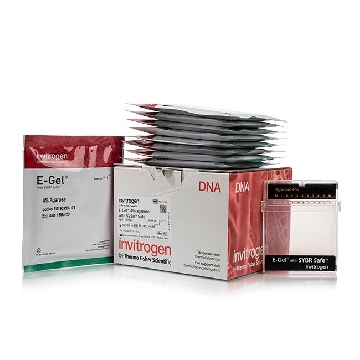 E-GEL SYBR SAFE 4% 10 GELS，A42136，Applied Biosystems