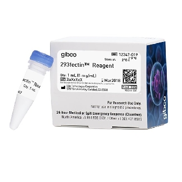 293FECTIN 1 ML，12347019，Invitrogen