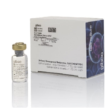 REC STABILIZED HU BFGF 100UG 1 EA，PHG0369，Invitrogen