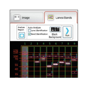 MYIMAGEANALYSIS SOFTWARE EA，62237，赛默飞世尔